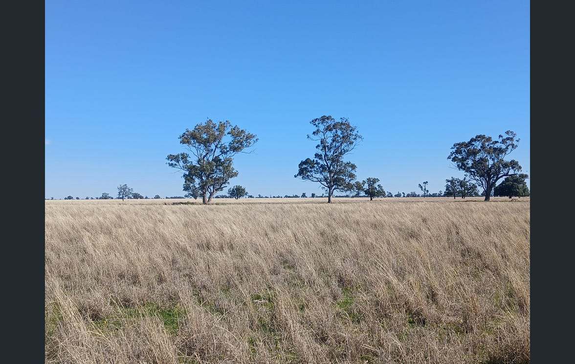795 Armatree Road, Armatree Auction by Farmbuy.com - image 25