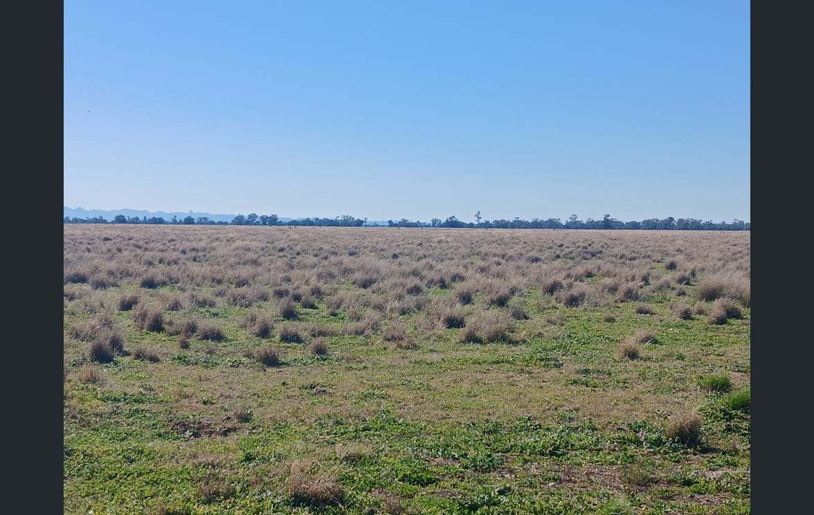 795 Armatree Road, Armatree Auction by Farmbuy.com - image 14