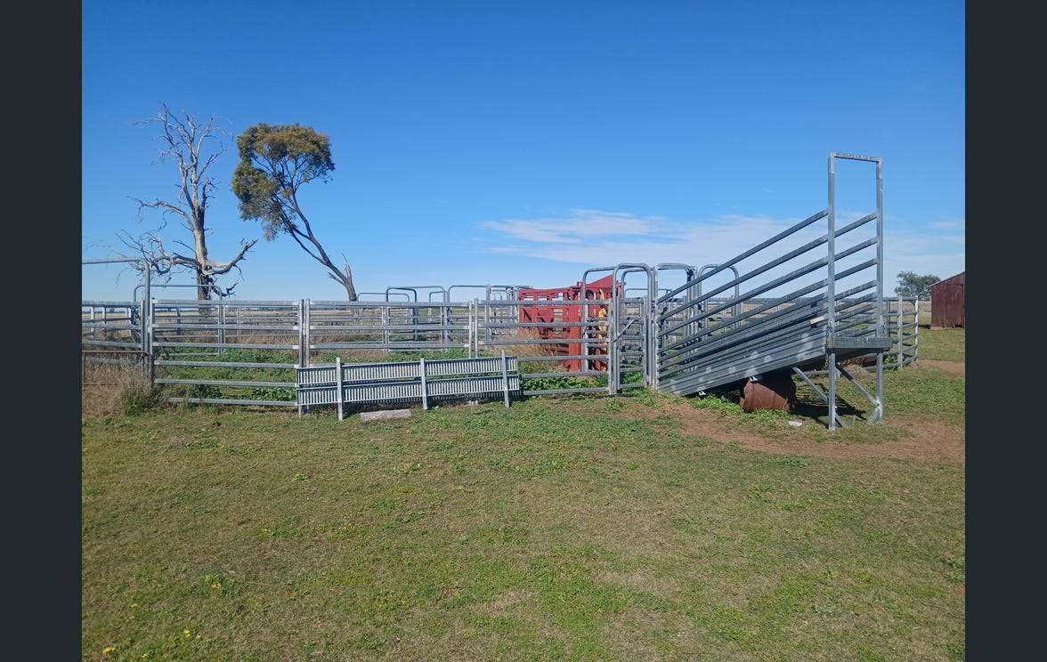 795 Armatree Road, Armatree Auction by Farmbuy.com - image 10