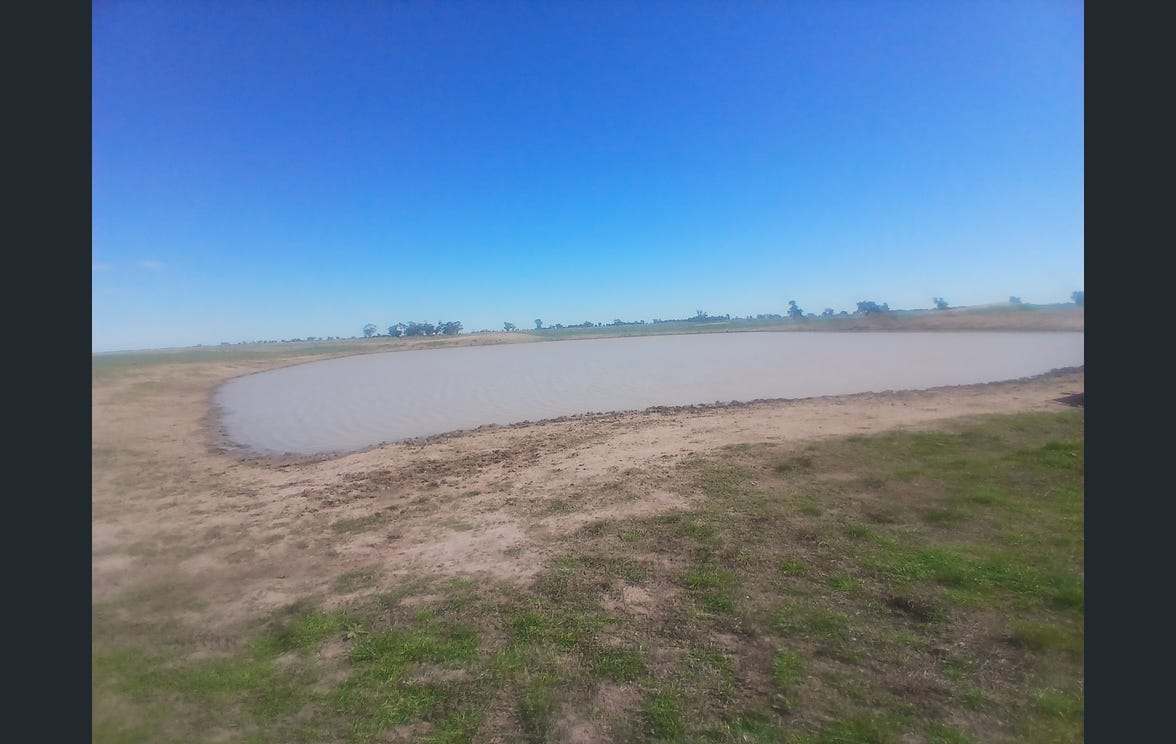 795 Armatree Road, Armatree Auction by Farmbuy.com - image 26