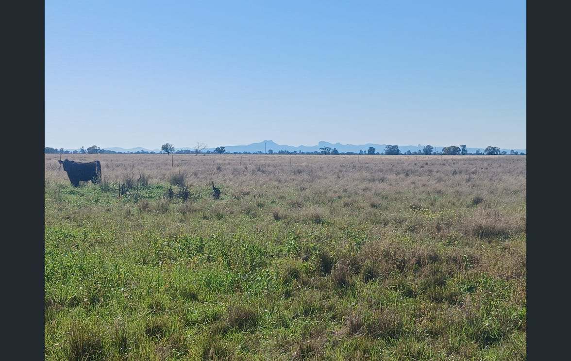 795 Armatree Road, Armatree Auction by Farmbuy.com - image 1