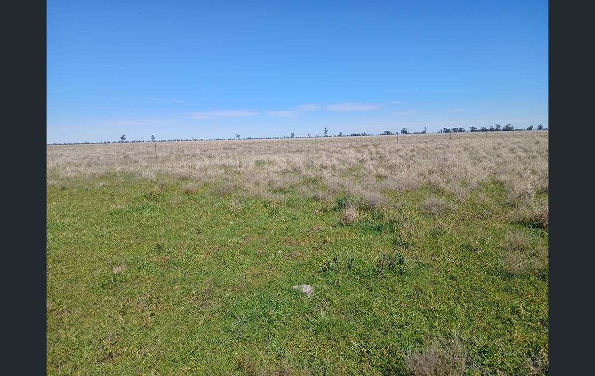 795 Armatree Road, Armatree Auction by Farmbuy.com - image 28