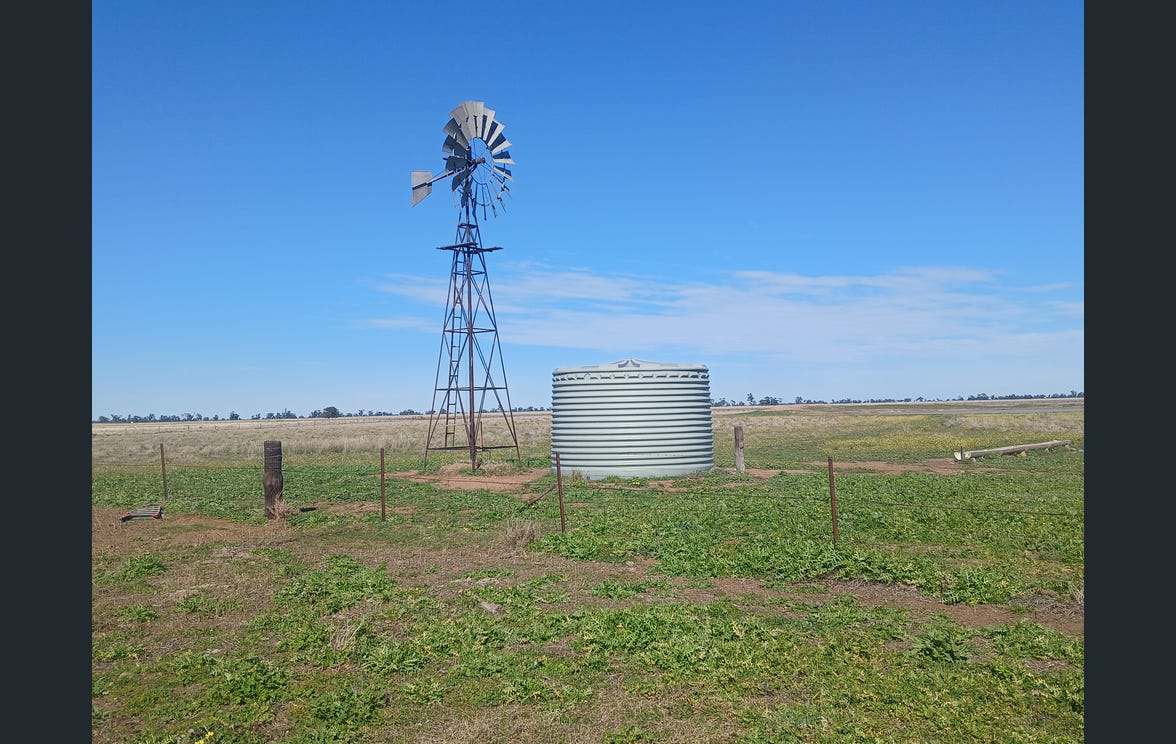 795 Armatree Road, Armatree Auction by Farmbuy.com - image 13