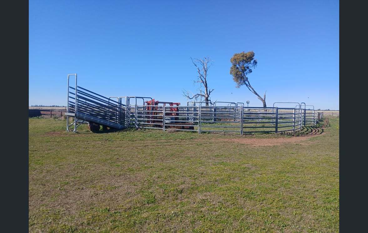 795 Armatree Road, Armatree Auction by Farmbuy.com - image 9