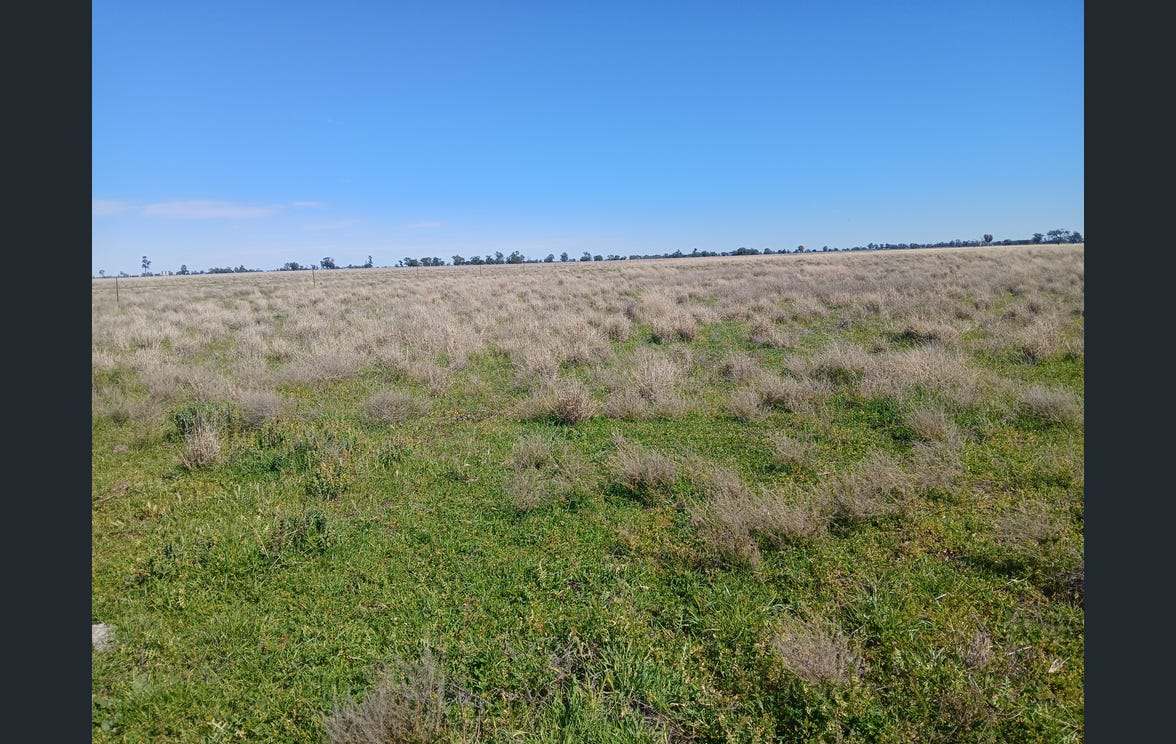 795 Armatree Road, Armatree Auction by Farmbuy.com - image 27