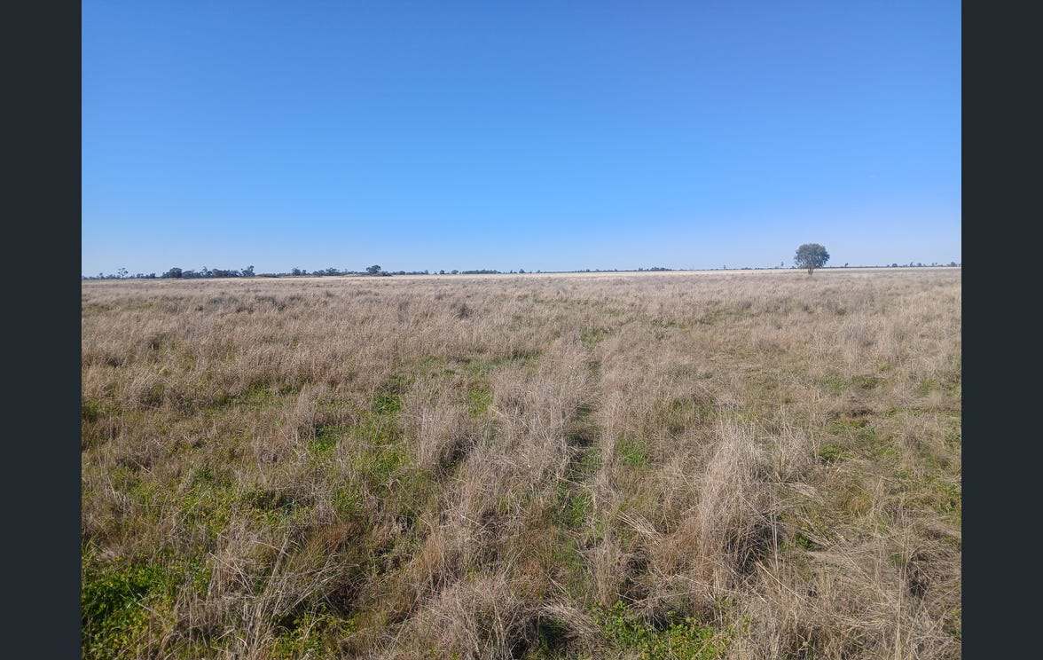 795 Armatree Road, Armatree Auction by Farmbuy.com - image 3