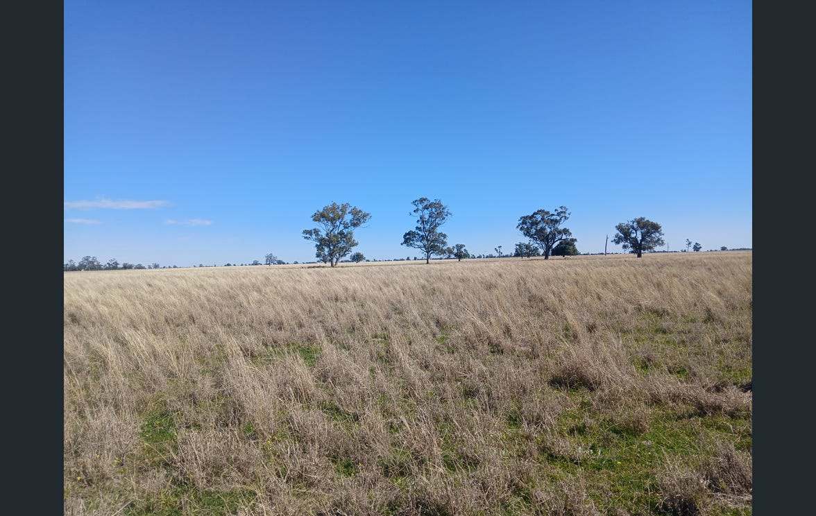 795 Armatree Road, Armatree Auction by Farmbuy.com - image 24
