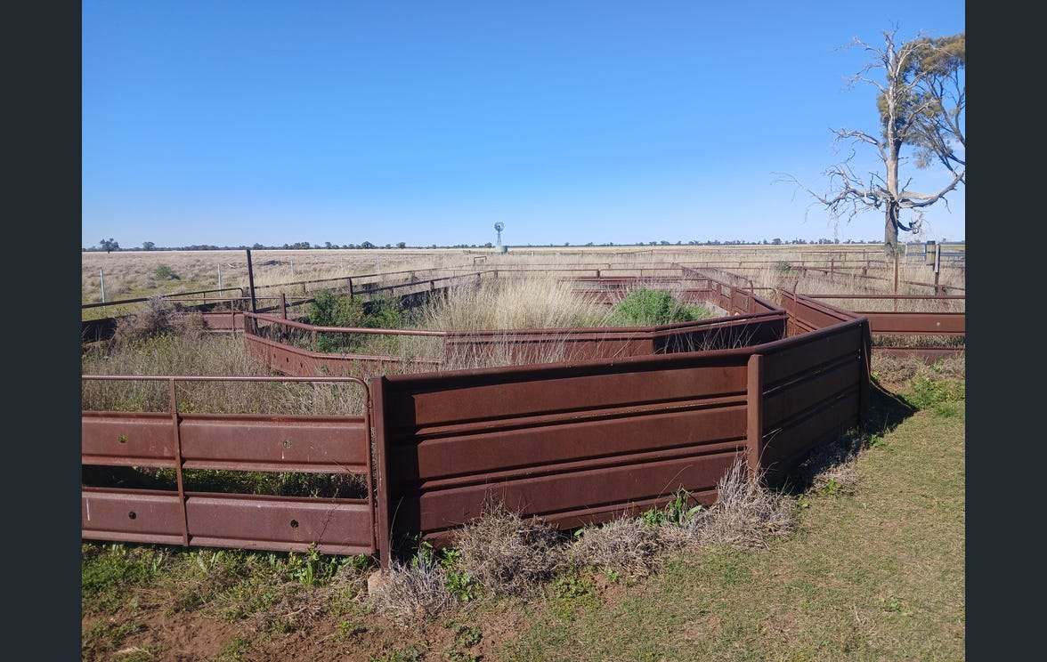 795 Armatree Road, Armatree Auction by Farmbuy.com - image 11