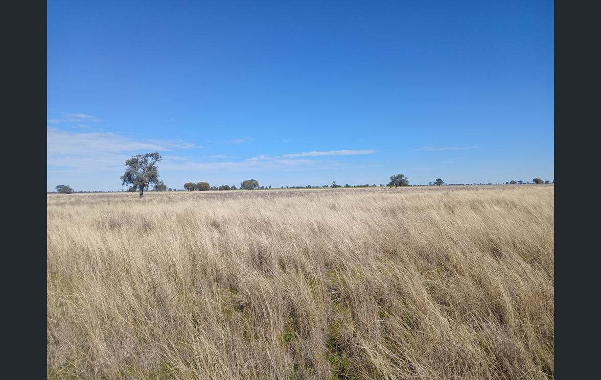795 Armatree Road, Armatree Auction by Farmbuy.com - image 22