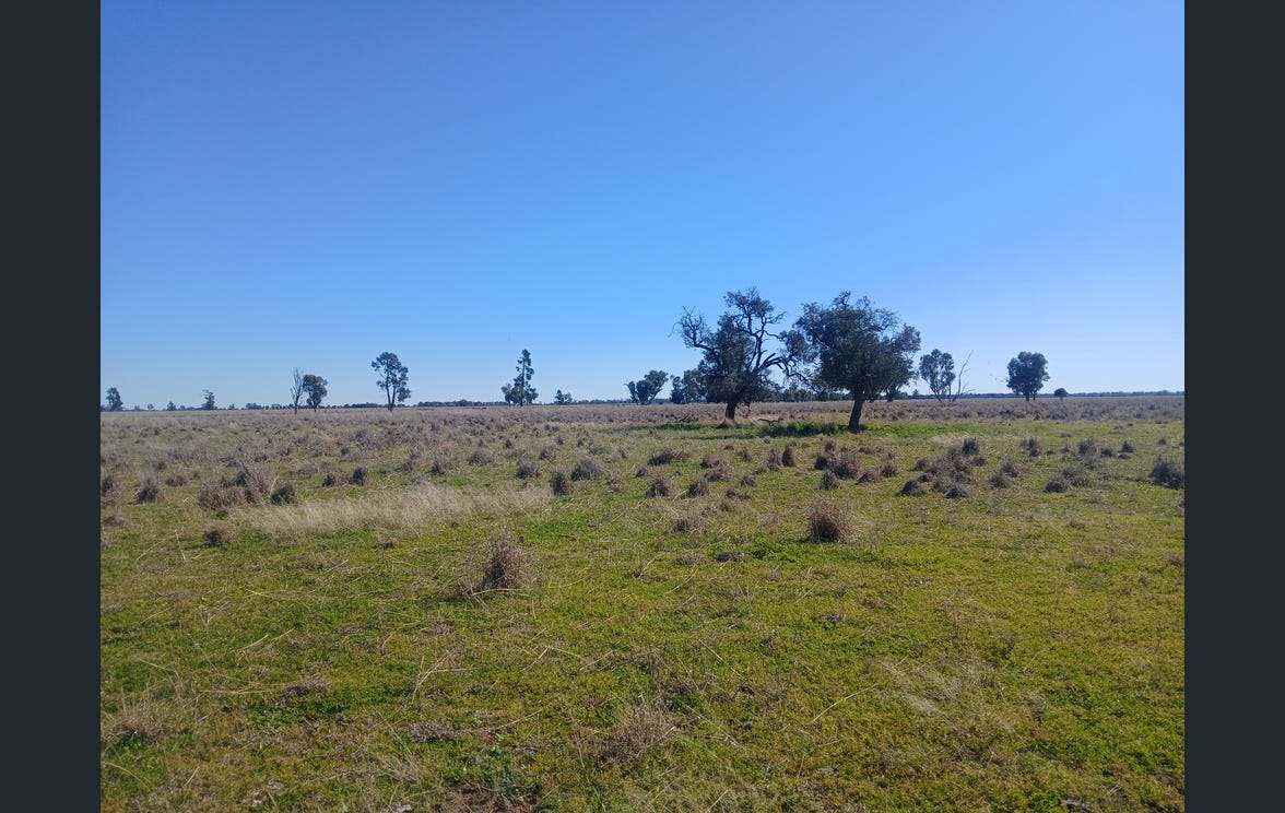 795 Armatree Road, Armatree Auction by Farmbuy.com - image 7