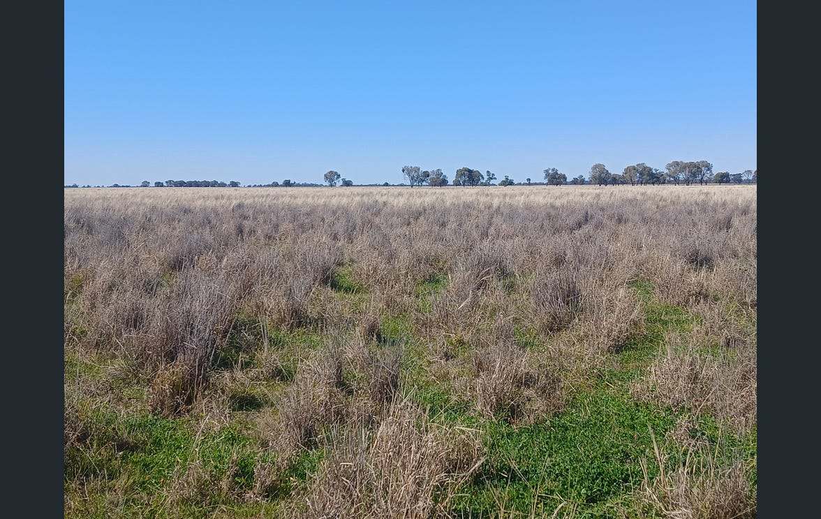 795 Armatree Road, Armatree Auction by Farmbuy.com - image 18