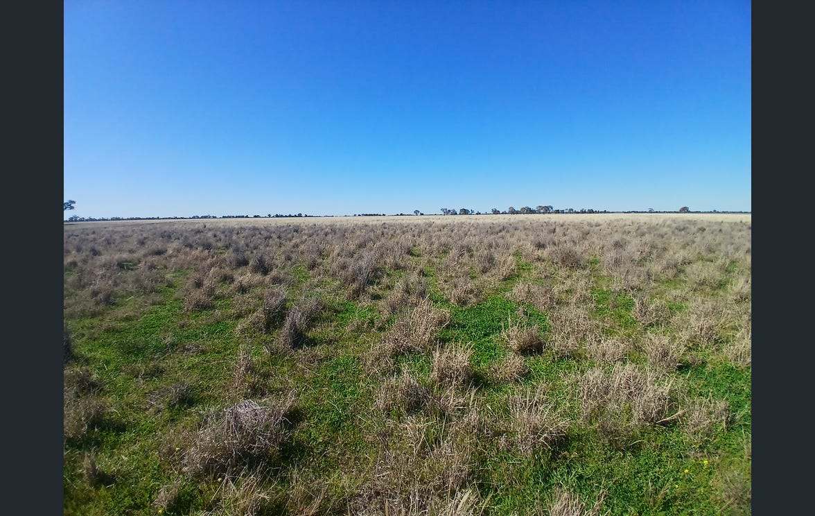 795 Armatree Road, Armatree Auction by Farmbuy.com - image 20