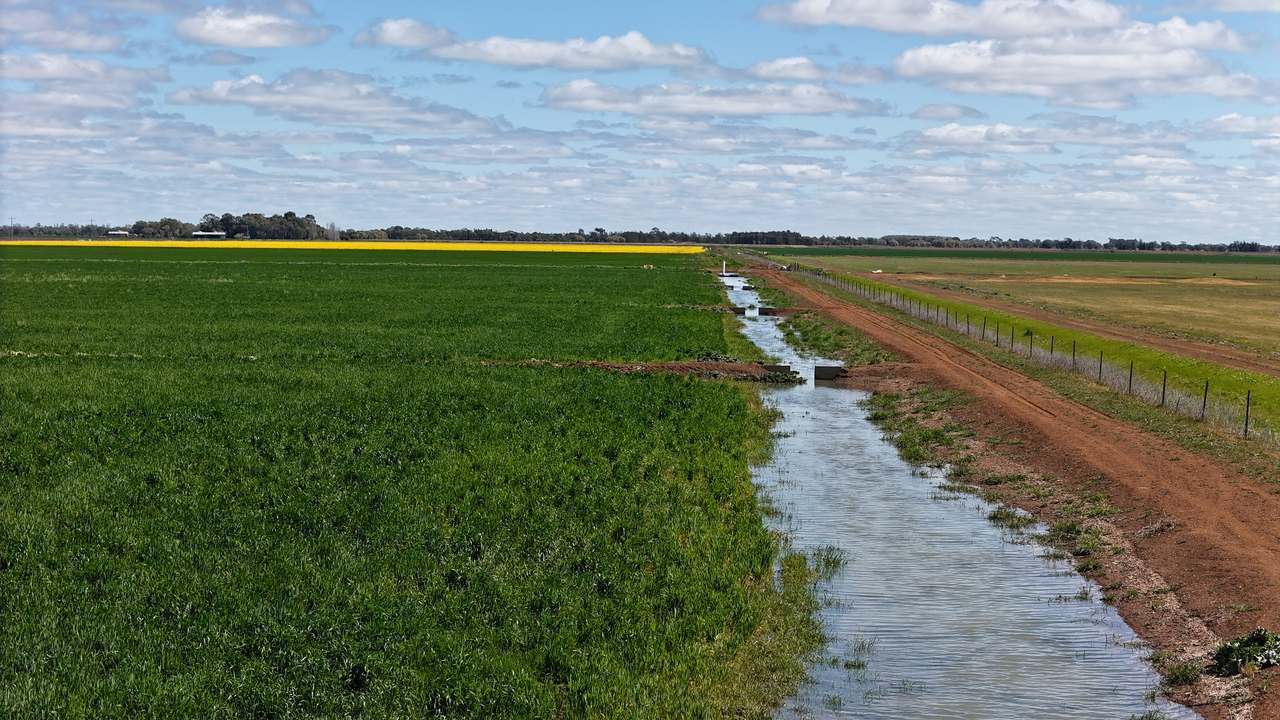 408 Cashmere Road, Widgelli For Sale by Farmbuy.com - image 24