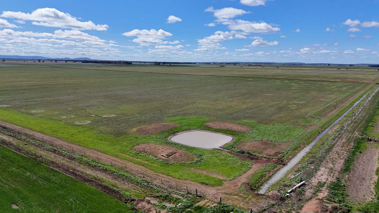 408 Cashmere Road, Widgelli For Sale by Farmbuy.com - image 15