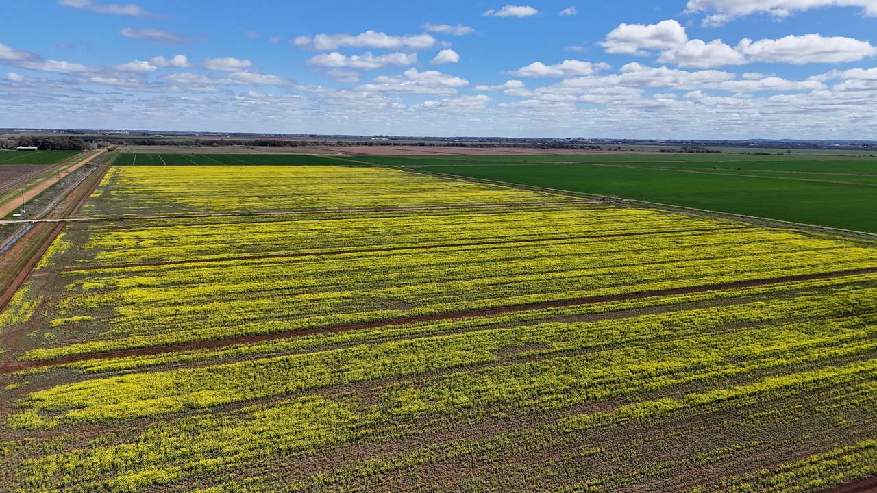 408 Cashmere Road, Widgelli For Sale by Farmbuy.com - image 6