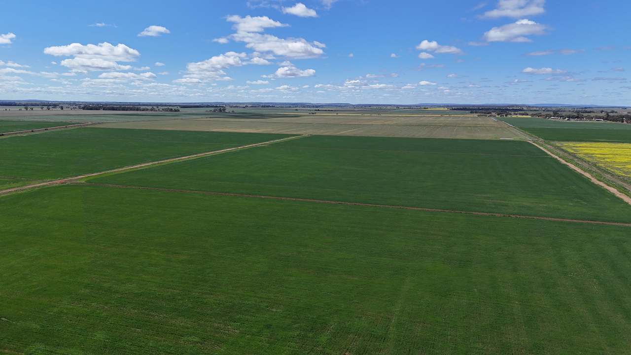 408 Cashmere Road, Widgelli For Sale by Farmbuy.com - image 14