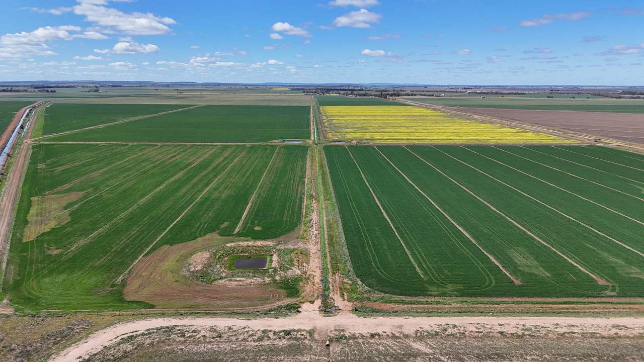 408 Cashmere Road, Widgelli For Sale by Farmbuy.com - image 11