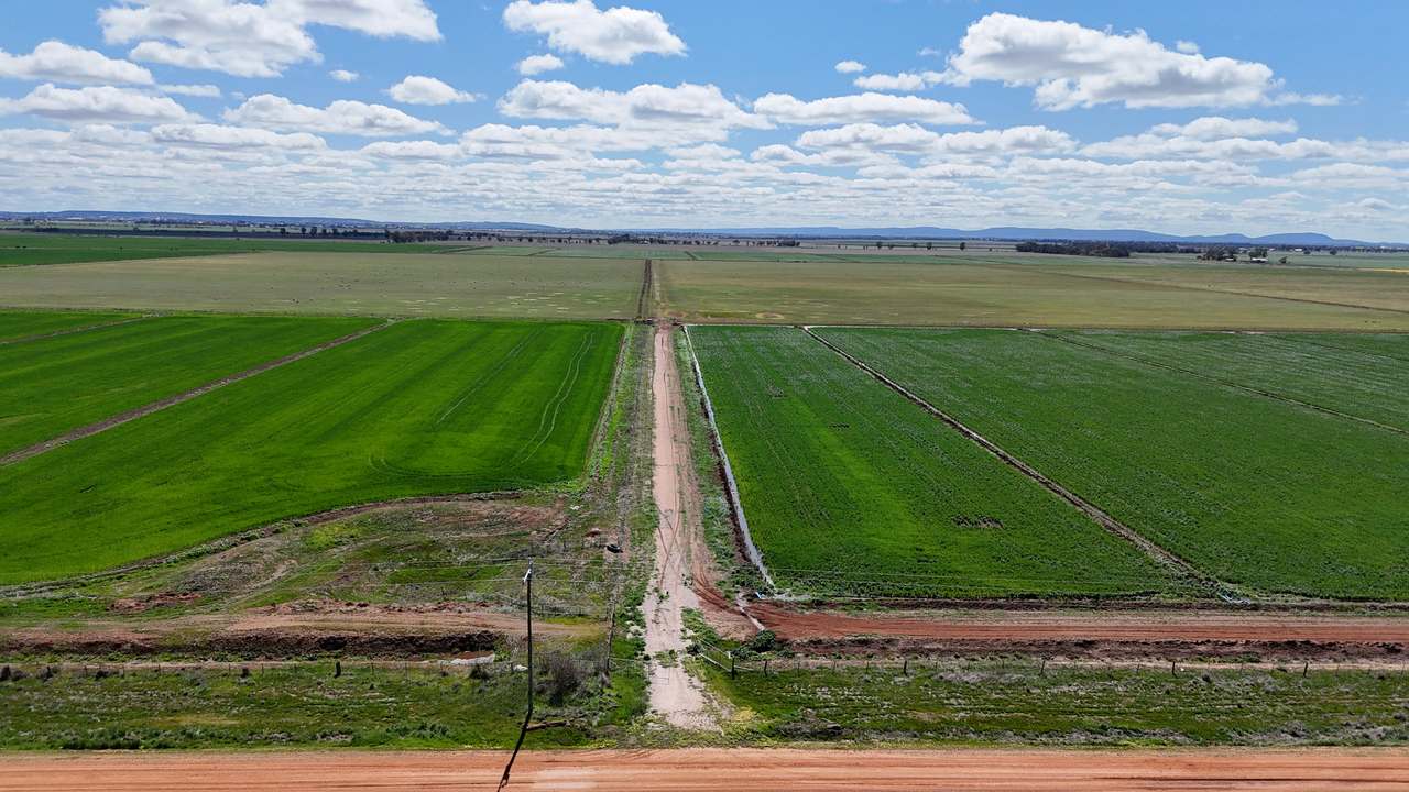 408 Cashmere Road, Widgelli For Sale by Farmbuy.com - image 3
