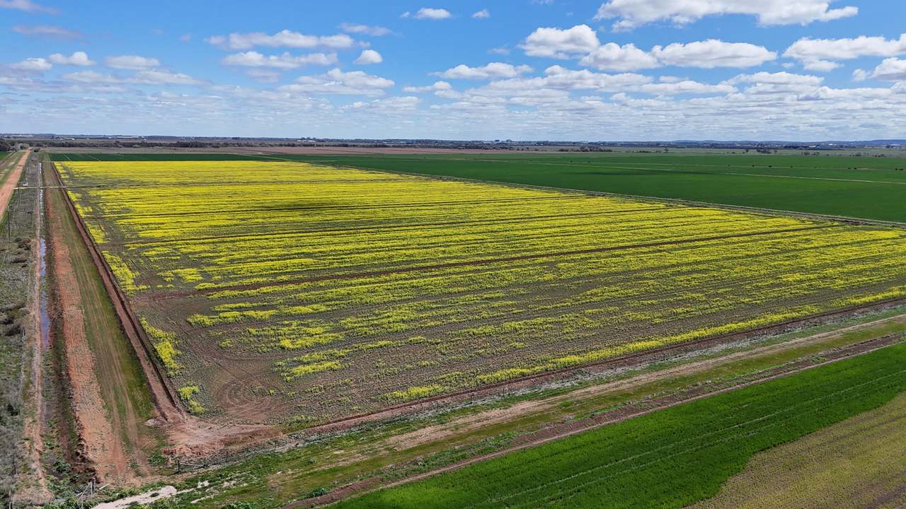 408 Cashmere Road, Widgelli For Sale by Farmbuy.com - image 5