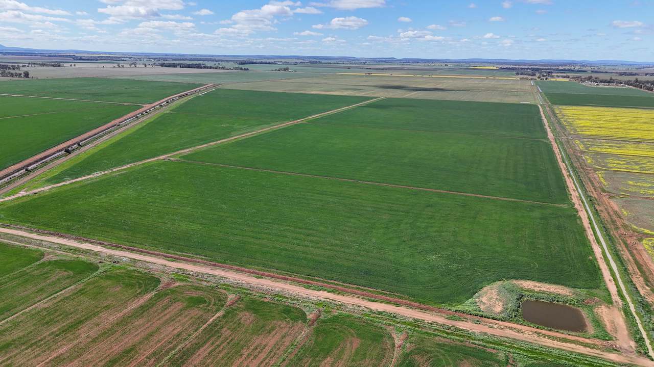 408 Cashmere Road, Widgelli For Sale by Farmbuy.com - image 9