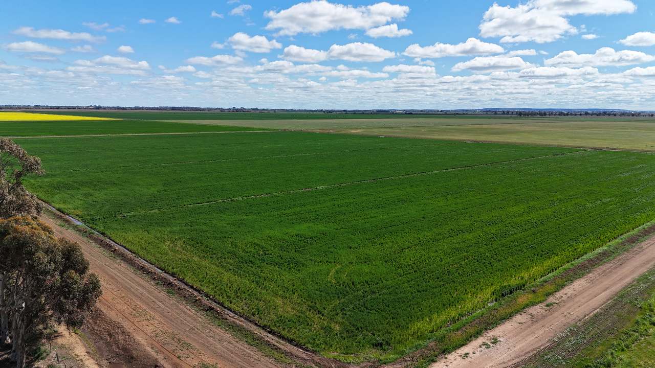 408 Cashmere Road, Widgelli For Sale by Farmbuy.com - image 2