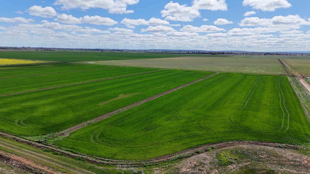 408 Cashmere Road, Widgelli For Sale by Farmbuy.com - image 4