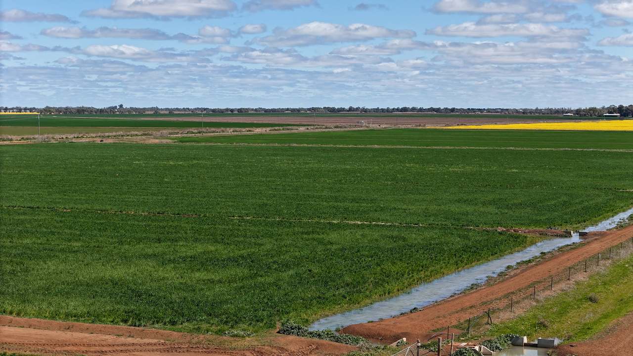 408 Cashmere Road, Widgelli For Sale by Farmbuy.com - image 23