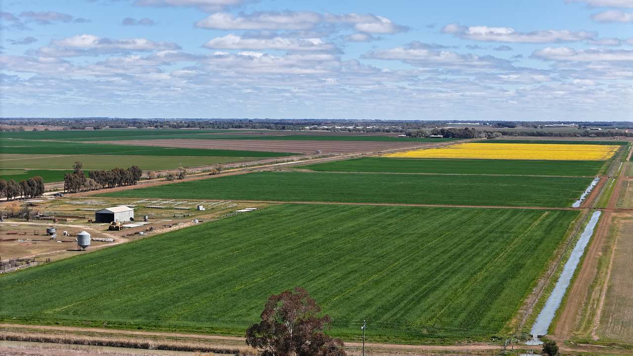 408 Cashmere Road, Widgelli For Sale by Farmbuy.com - image 21