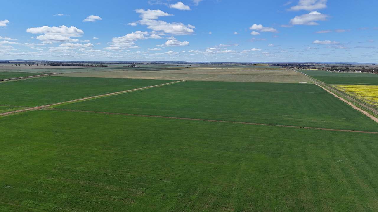 408 Cashmere Road, Widgelli For Sale by Farmbuy.com - image 13