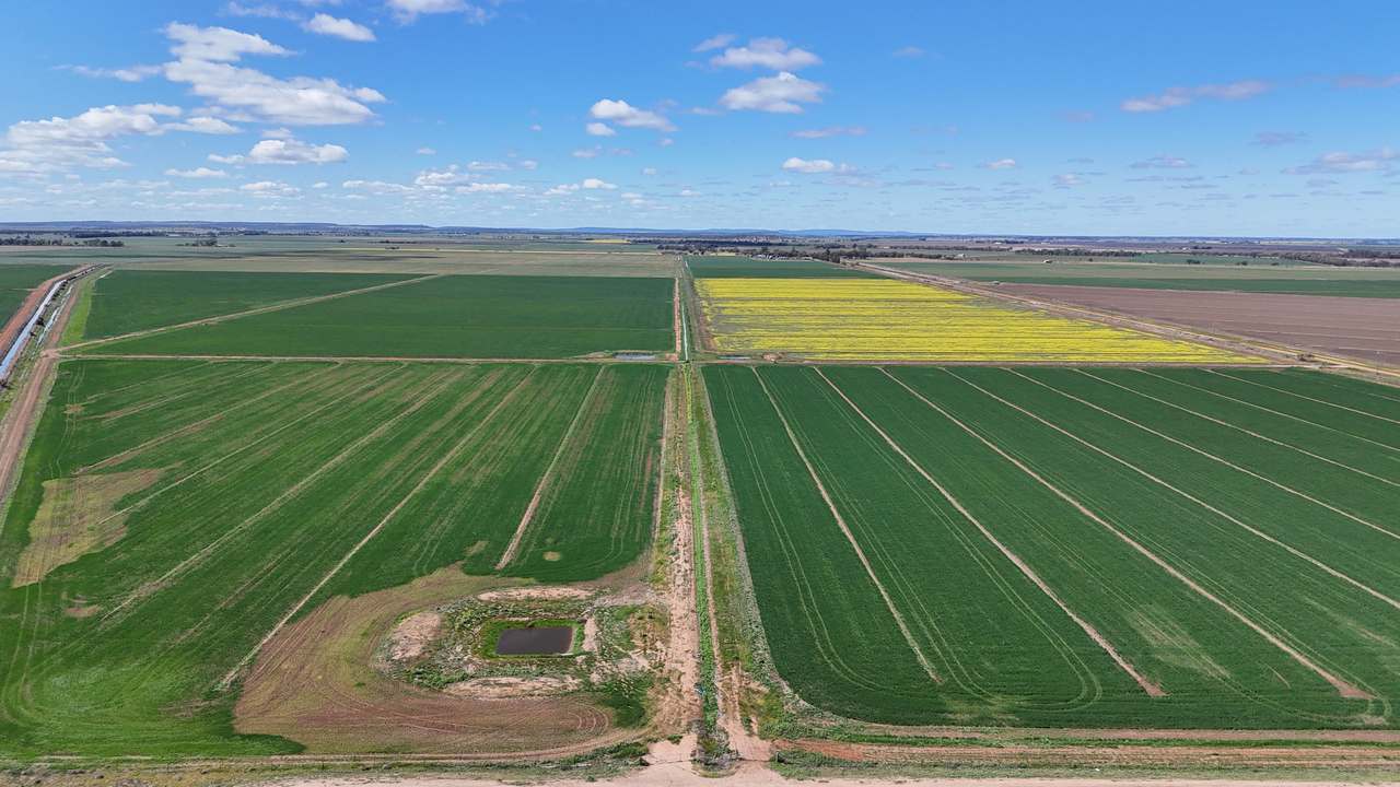 408 Cashmere Road, Widgelli For Sale by Farmbuy.com - image 12