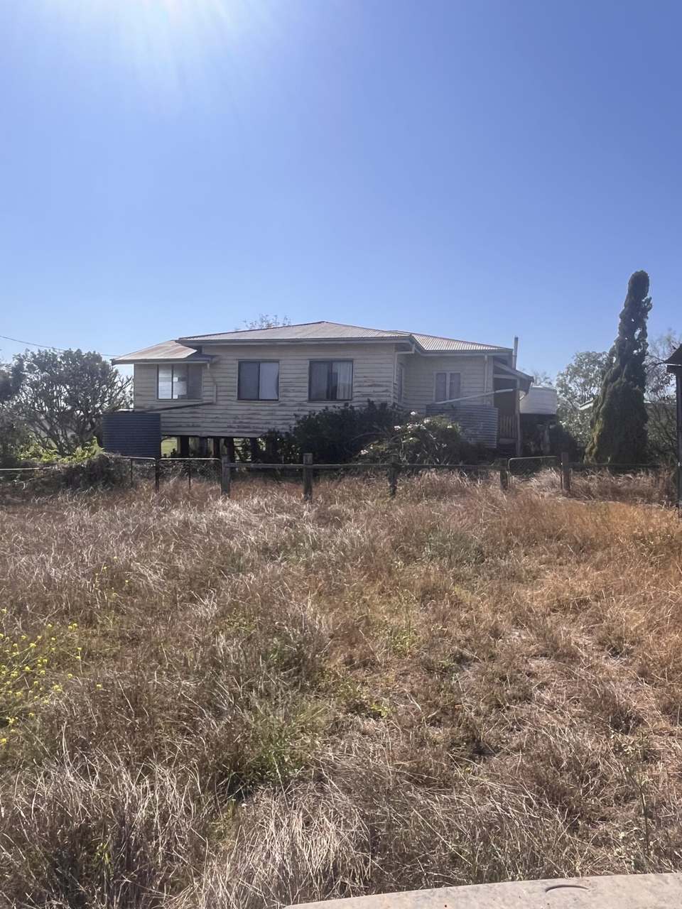 Burnett Highway, Three Moon,, Monto Auction by Farmbuy.com - image 31