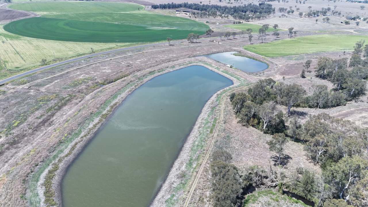 Burnett Highway, Three Moon,, Monto Auction by Farmbuy.com - image 15