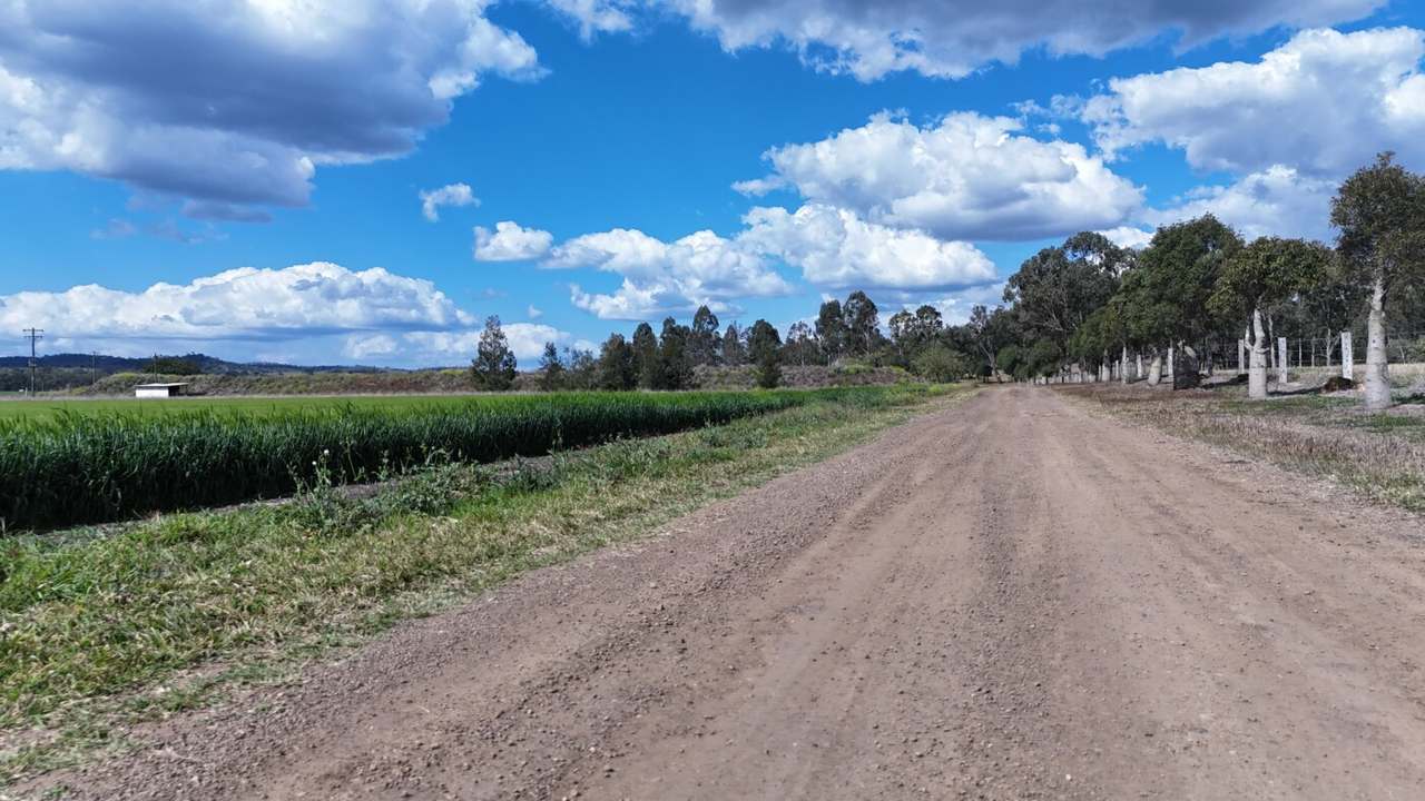 Burnett Highway, Three Moon,, Monto Auction by Farmbuy.com - image 3
