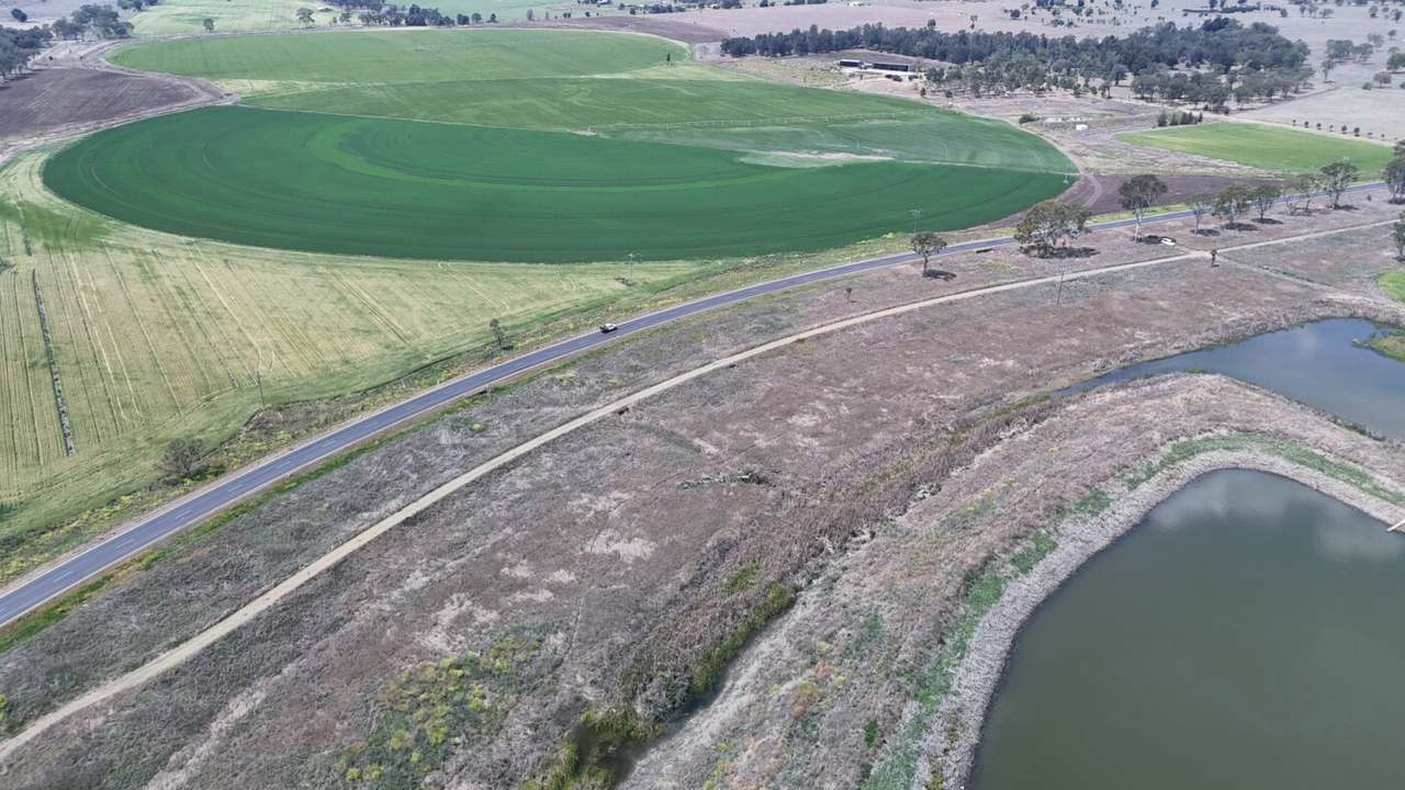 Burnett Highway, Three Moon,, Monto Auction by Farmbuy.com - image 6