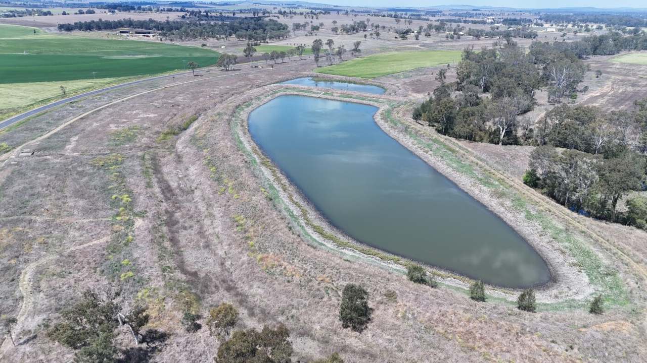 Burnett Highway, Three Moon,, Monto Auction by Farmbuy.com - image 10
