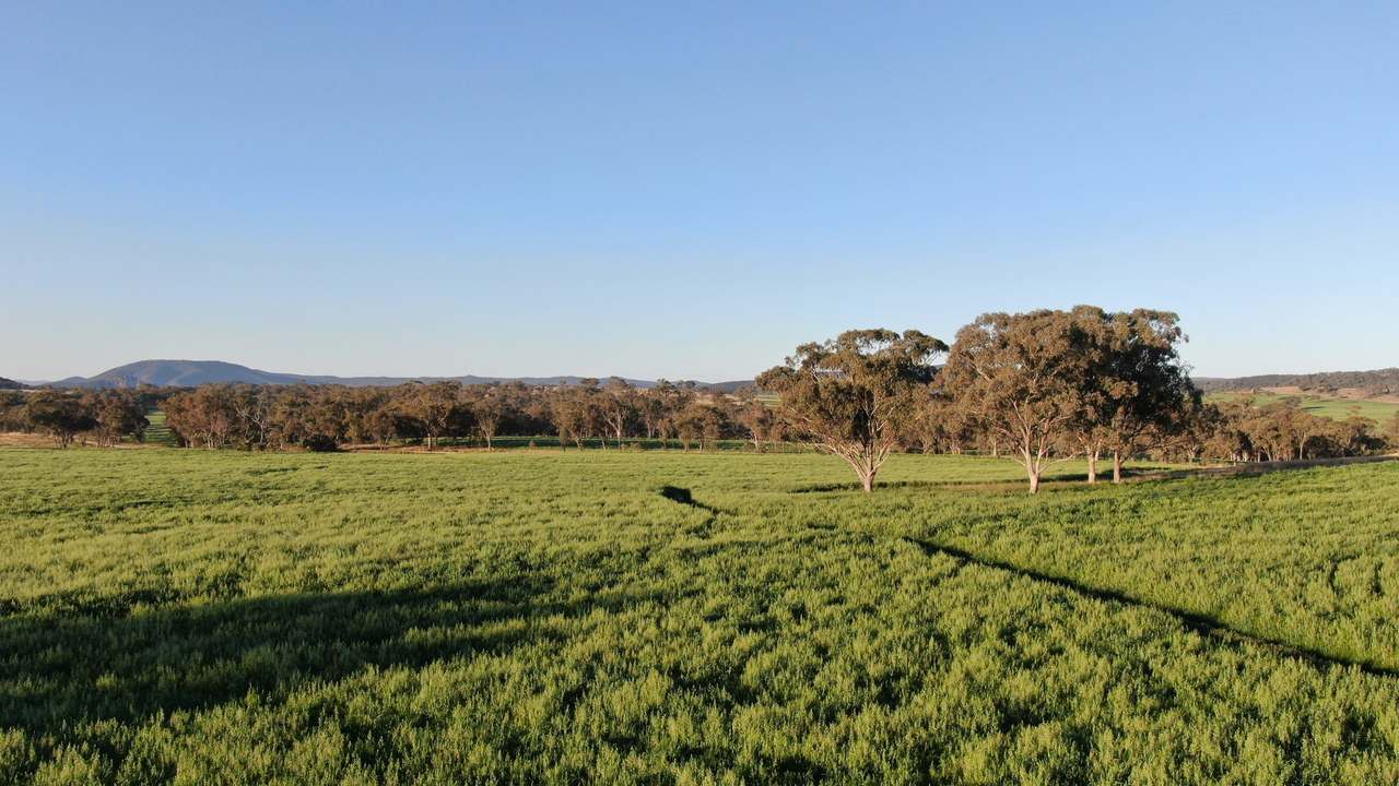 11 Rosehill Road, Rocky Creek For Sale by Farmbuy.com - image 10