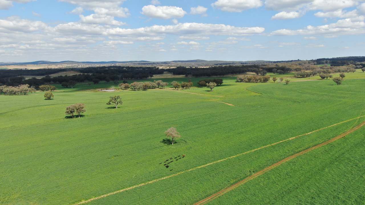 11 Rosehill Road, Rocky Creek For Sale by Farmbuy.com - image 12