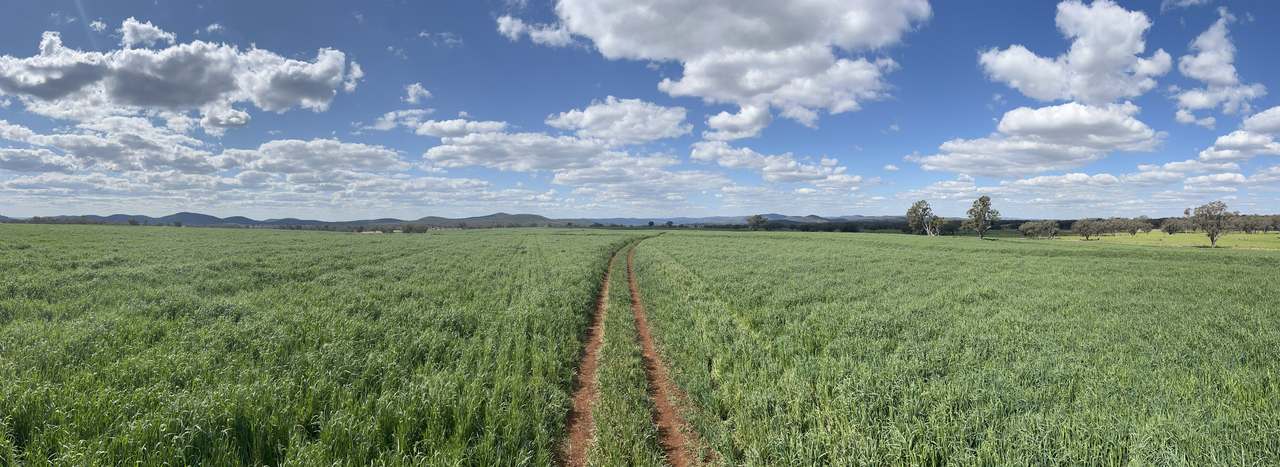 11 Rosehill Road, Rocky Creek For Sale by Farmbuy.com - image 5