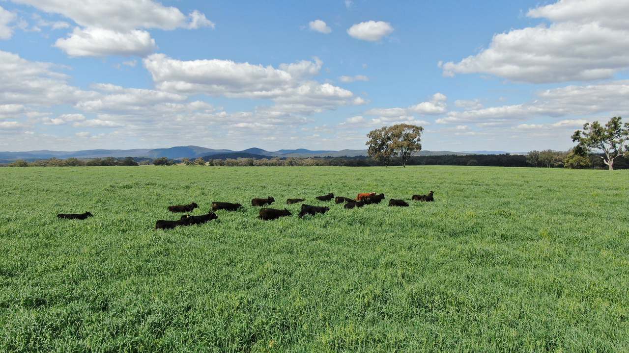 11 Rosehill Road, Rocky Creek For Sale by Farmbuy.com - image 2