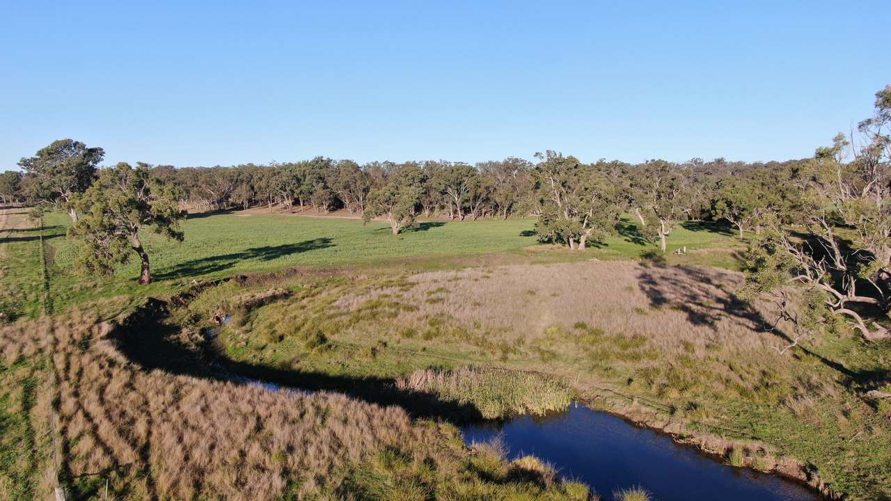 11 Rosehill Road, Rocky Creek For Sale by Farmbuy.com - image 4
