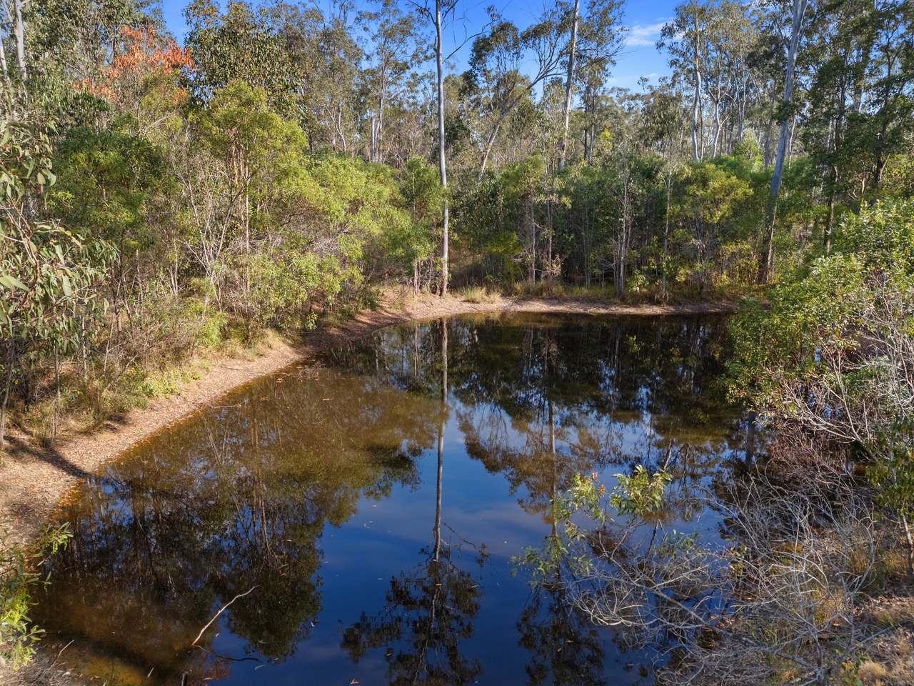423 Wards Road, Glenwood For Sale by Farmbuy.com - image 16