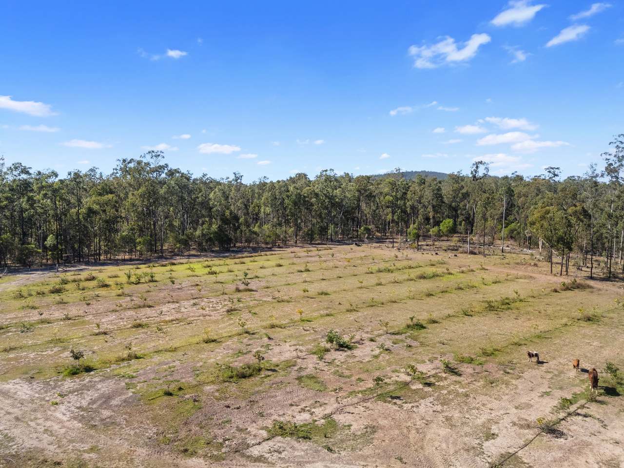 423 Wards Road, Glenwood For Sale by Farmbuy.com - image 18
