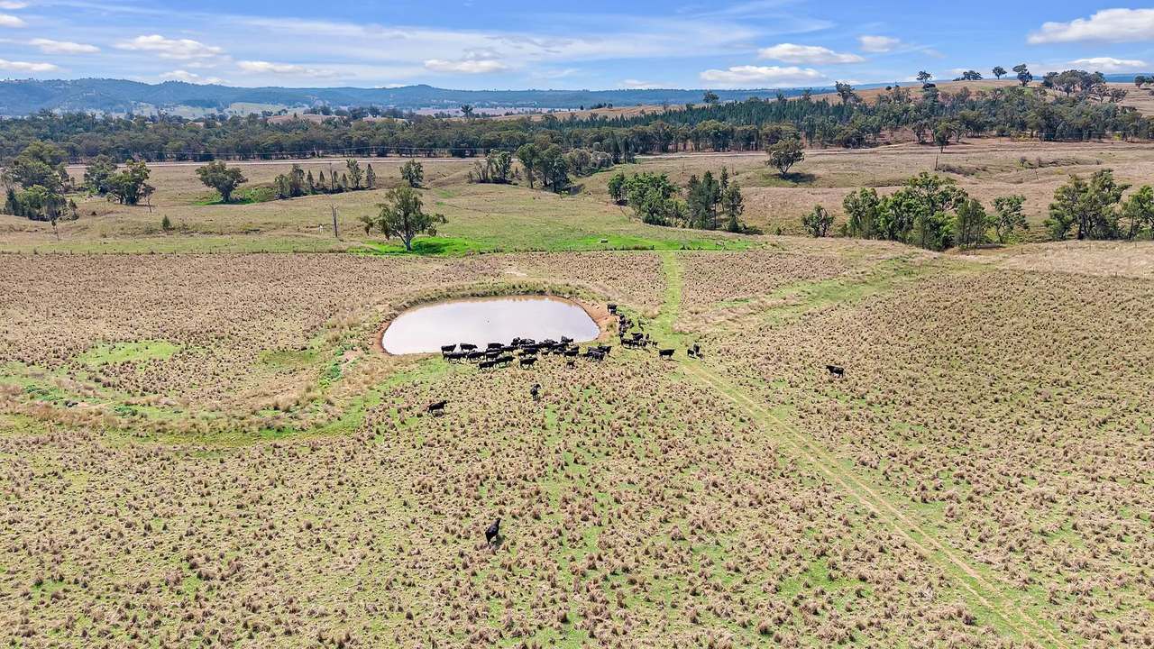 1069 Delungra Road, Bingara For Sale by Farmbuy.com - image 13