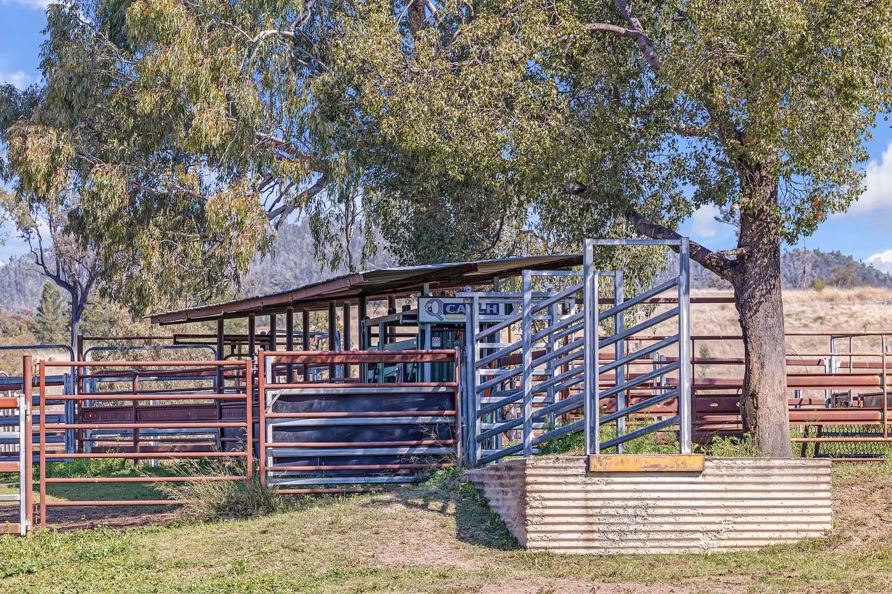 1069 Delungra Road, Bingara For Sale by Farmbuy.com - image 17