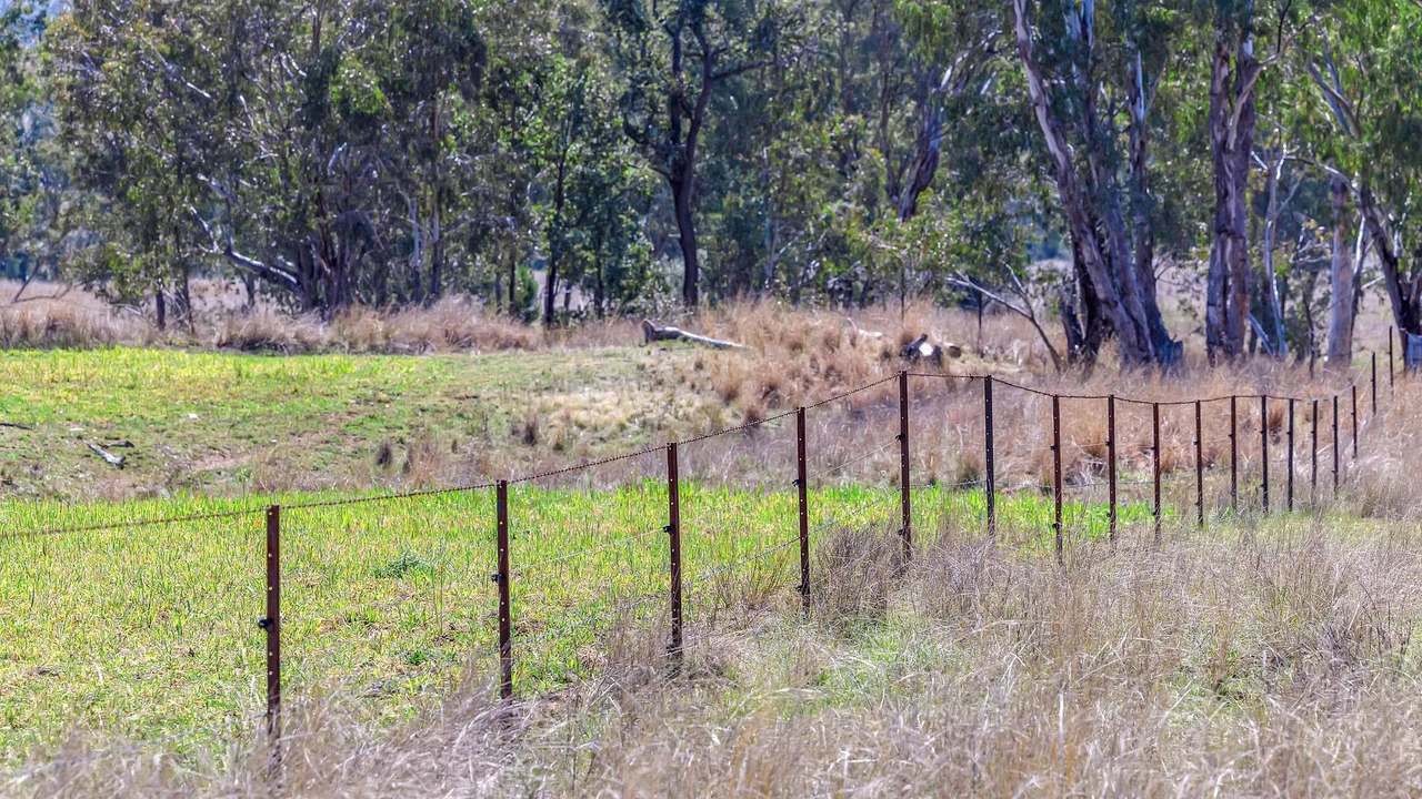 1069 Delungra Road, Bingara For Sale by Farmbuy.com - image 6