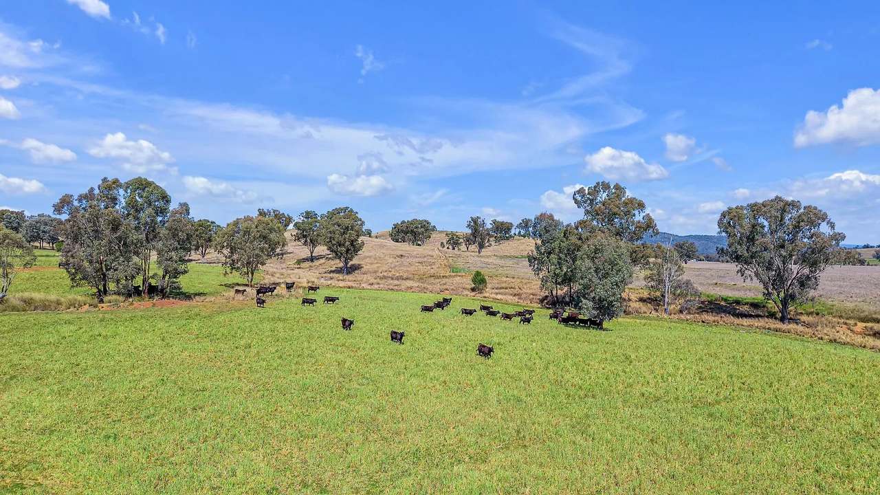 1069 Delungra Road, Bingara For Sale by Farmbuy.com - image 5