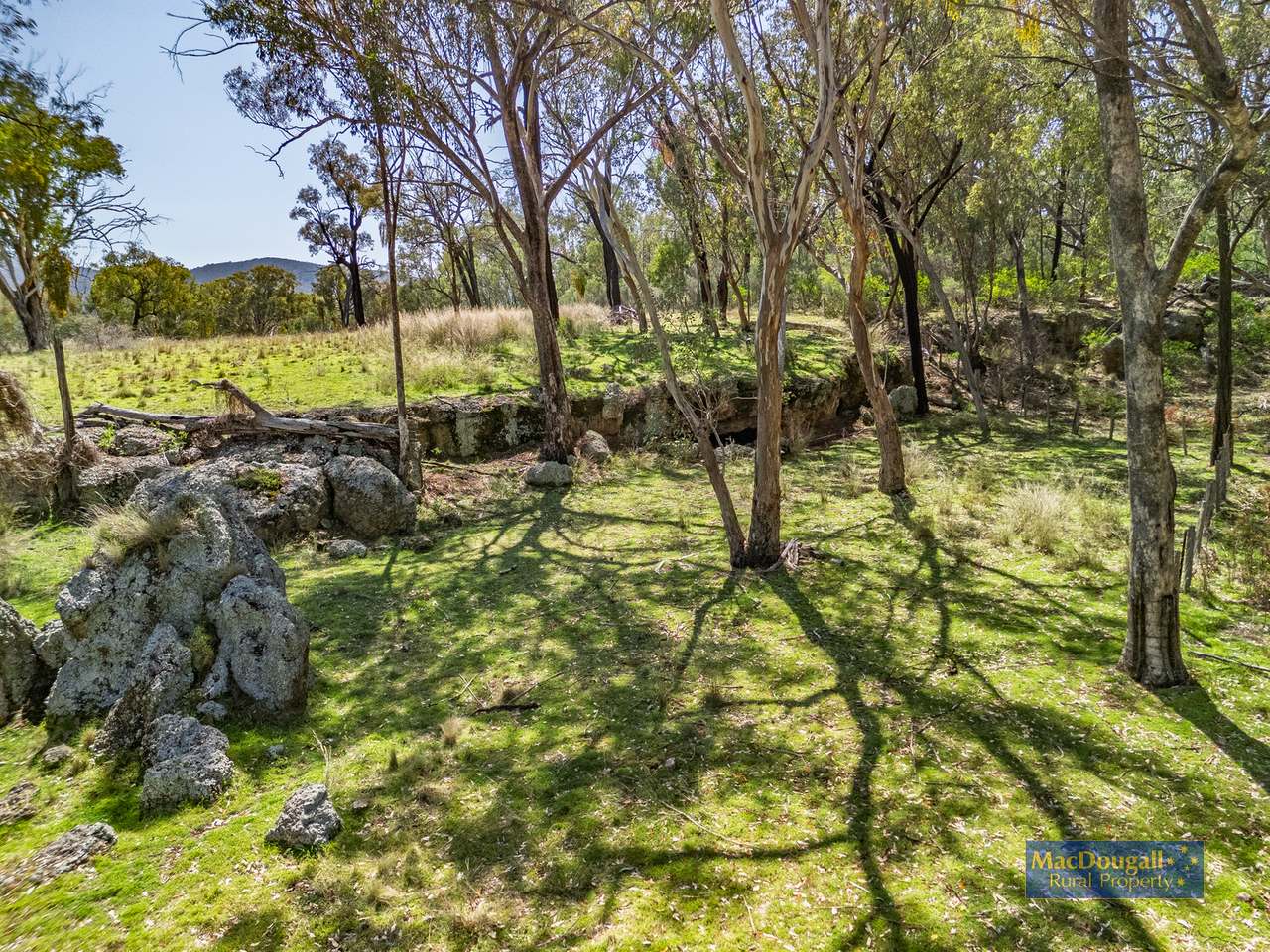 384 Dry Creek Road, Georges Creek For Sale by Farmbuy.com - image 23