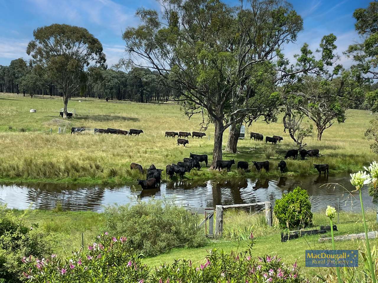384 Dry Creek Road, Georges Creek For Sale by Farmbuy.com - image 3