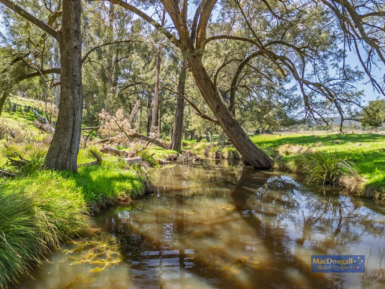 384 Dry Creek Road, Georges Creek For Sale by Farmbuy.com - image 5