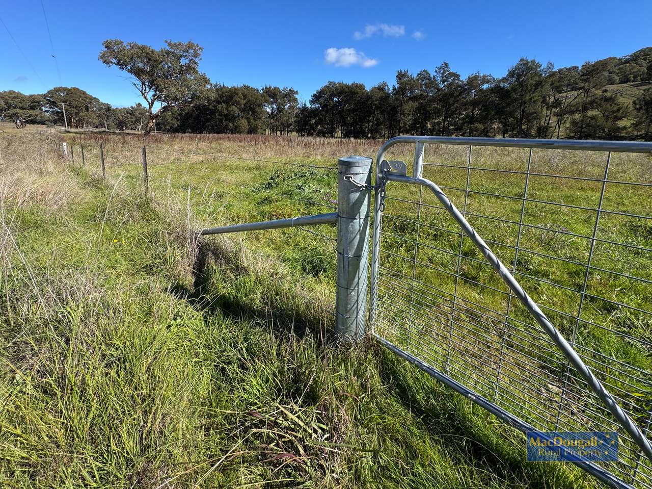 384 Dry Creek Road, Georges Creek For Sale by Farmbuy.com - image 15
